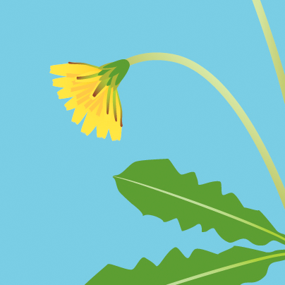 ANBD2025東京展用